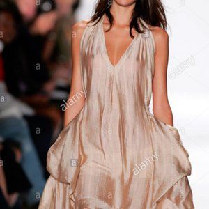 NWT Rare BCBGMaxAzria Runway Dress S champagne